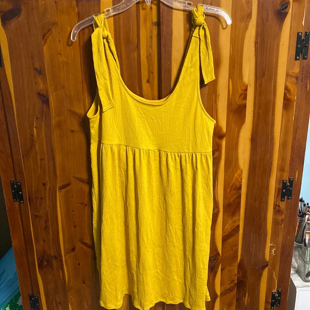 Wild Fable Dress